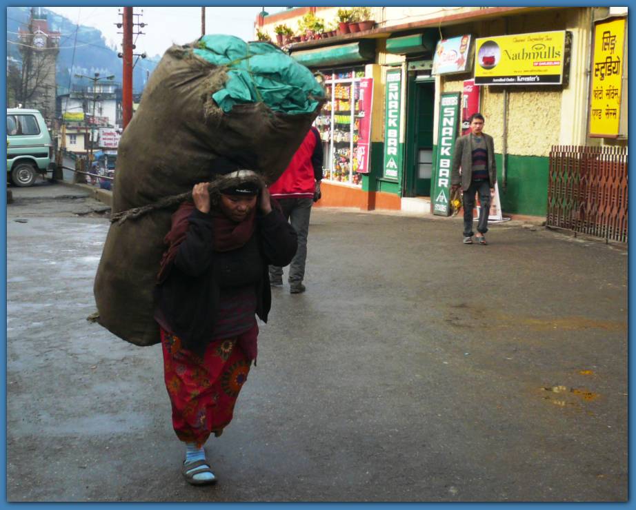 900x717 pixels (90K)